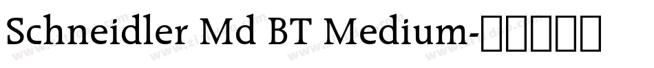 Schneidler Md BT Medium字体转换